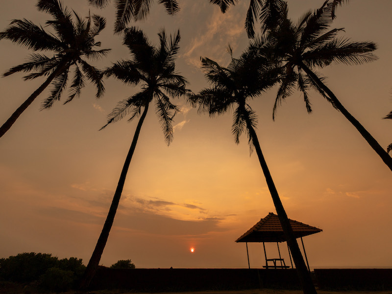 Night View Beach