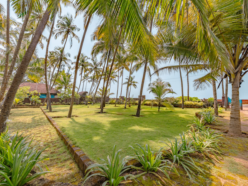 Garden Landscape