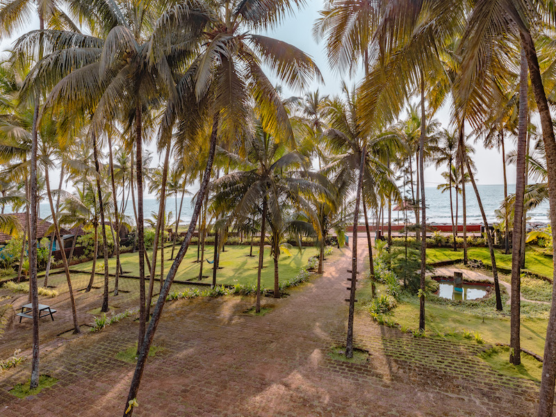Garden Landscape view from building